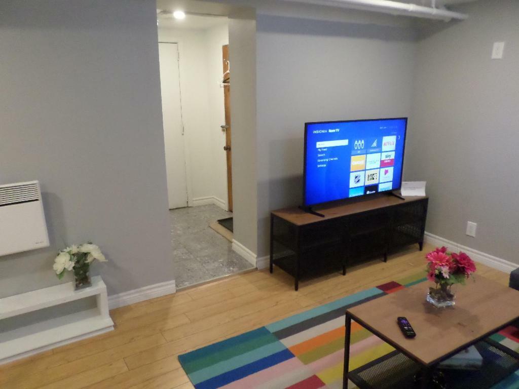 Fantastic And Modern Downtown 1-Bed Basement Apt., Parking Wi-Fi And Netflix Included Отава Екстериор снимка