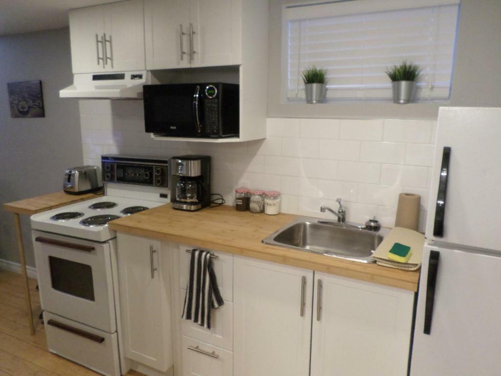 Fantastic And Modern Downtown 1-Bed Basement Apt., Parking Wi-Fi And Netflix Included Отава Екстериор снимка