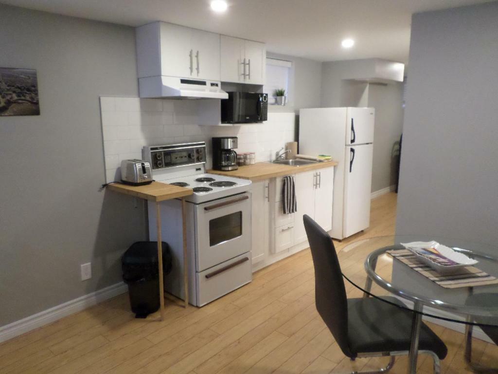 Fantastic And Modern Downtown 1-Bed Basement Apt., Parking Wi-Fi And Netflix Included Отава Екстериор снимка